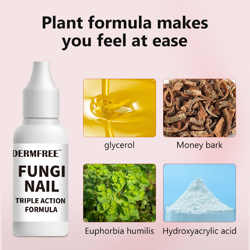 FungiErase